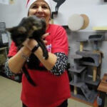 Fundacji Kocia Brygada w Świętochłowicach