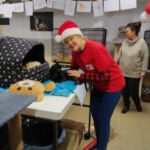 Fundacji Kocia Brygada w Świętochłowicach