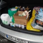 Fundacji Kocia Brygada w Świętochłowicach