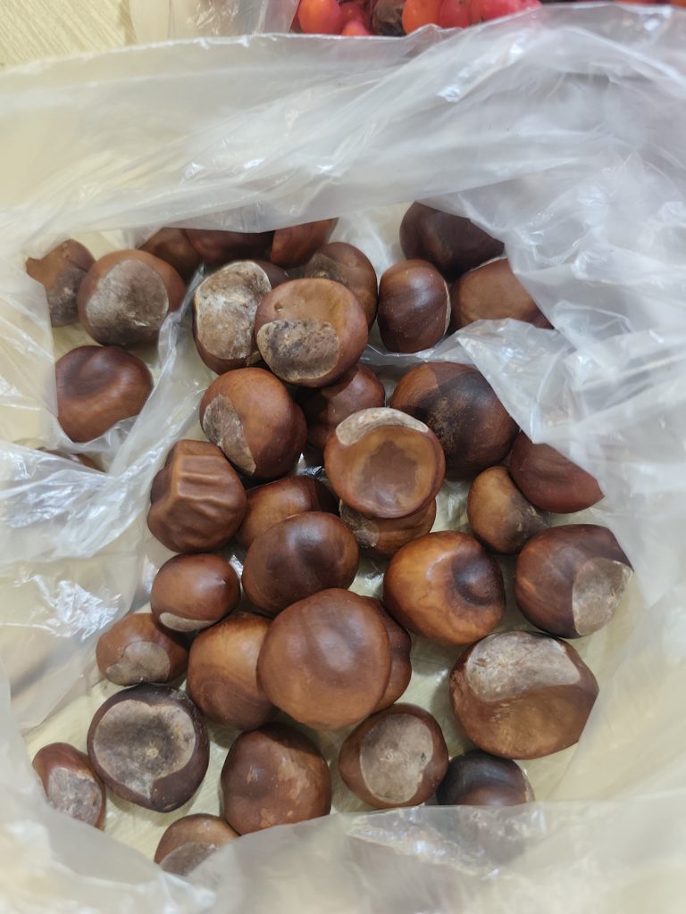 JESIENNE RĘKODZIEŁO