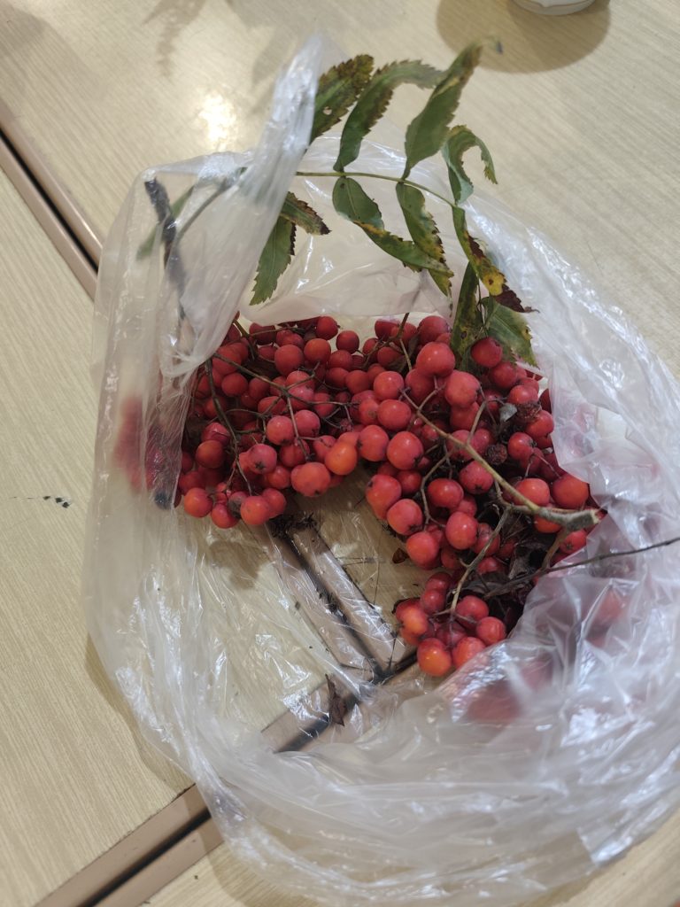 JESIENNE RĘKODZIEŁO